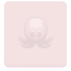 squid nft